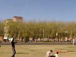 kun yang new years celebration 45 kite flying in the park
